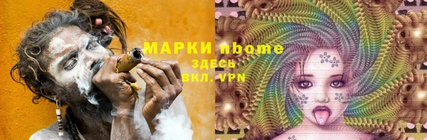 мдпв Богородицк